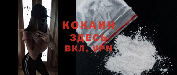 гидра Верея