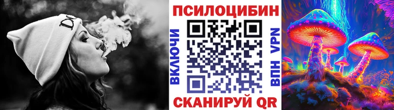 darknet как зайти  Тулун  Галлюциногенные грибы Magic Shrooms  закладка 